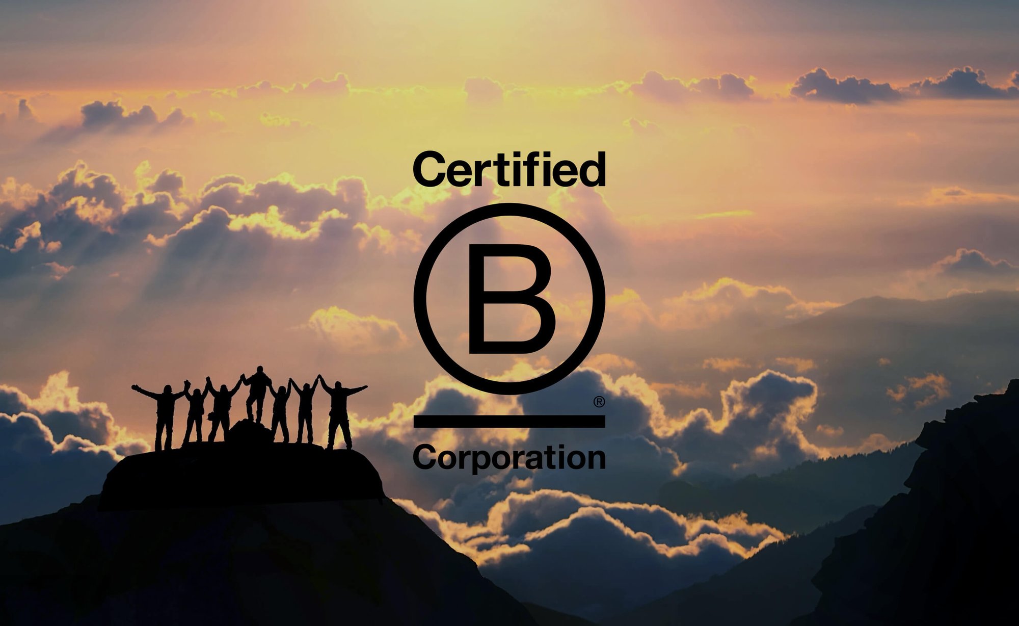 B corp certified organization