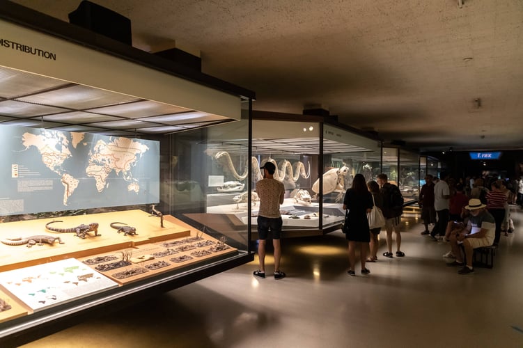 Visitors exploring exhibits inside the Royal Ontario Museum, showcasing its vibrant and engaging atmosphere.